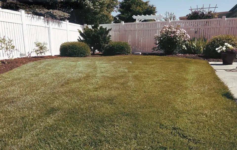 After: Colonial Backyard Ideas